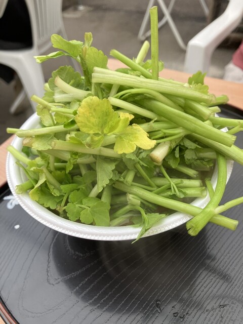 鮮魚とみ田 美田園 | ゆりあげ港朝市の新鮮魚介類