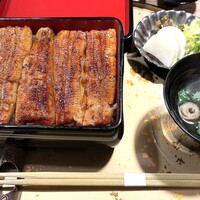 うなぎ 目白ぞろ芽 - 