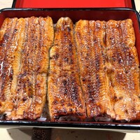 うなぎ 目白ぞろ芽 - 