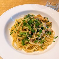 カステリーナ - 