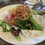 マザーズ - 三浦野菜のガーデンサラダ