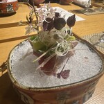 エルムガーデン - 初鰹