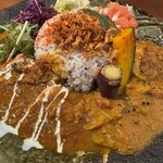 Spice curry TRIGGER - 付け合わせ野菜たっぷり。右が4月のカレー、左がバターチキン。
