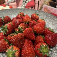 ヒルトン東京 - いちごは大きい方が甘いと知った今年の春