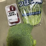 サンショップ - ブロッコリー¥50、ラディッシュ¥50