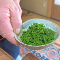 清游庵 - 