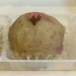 森乃お菓子 - 2025.3.9  花桜よもぎもち
