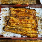 鳥常本店 - 上うな重