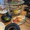 炭火ホルモン焼肉 ひゃくてん 溝の口