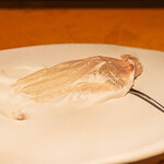 アマランサス - 