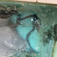 八べえ - 活うなぎ