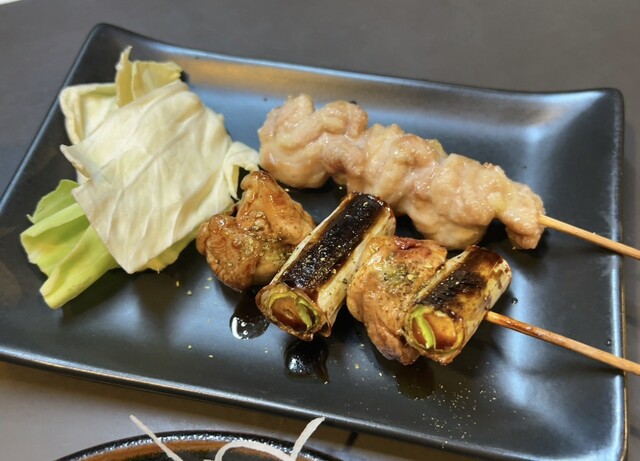 Tori Dokoro Yamamoto