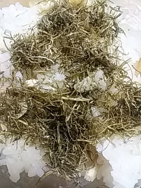 海産食品みなみや下北 新鮮な海の幸を味わえる食堂