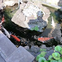 人丸花壇 - 