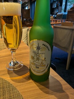 Kyukaruizawa KIKYO Curio Collection by Hilton