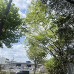 インデアンレストラン  ニューミラ - 