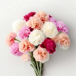 オーベルジュ フレンチの森 Prince Etoile - 