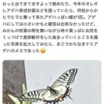 インデアンレストラン  ニューミラ - 