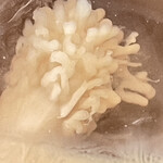 インデアンレストラン  ニューミラ - 氷が形成されたプロセスをしのばせる、ややグロい構造w