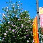 杭州飯店 - 2014年8月吉日