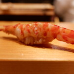 高柿の鮨 - 車海老