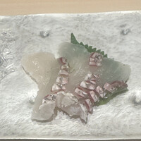 山桜 - 