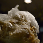 麦酒屋 るぷりん - 