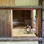 とんかつ 井筒 - 躙口 (にじりぐち)