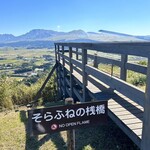 いまきん食堂 - 