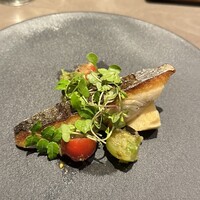 オッジ ダルマット 西麻布店 - 