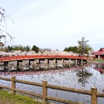 喫茶ロード - オマケ・猿賀公園の桜