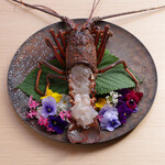 鮨 はくと - 伊勢海老のお造り