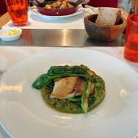 Benoit Alain Ducasse - 