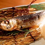 村木屋 - 大トロイワシ