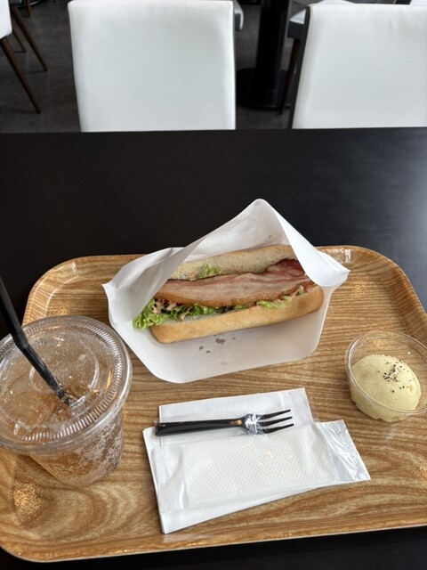 Spain Bar REGOLITH photo 2