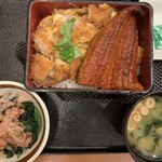 ごはん処 かつ庵 - 