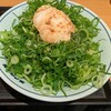 瀬戸うどん ウィラ大井店