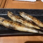 炭火焼 築地本鮪 あべにう - 