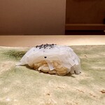 鮨 華 - 握り スミイカ