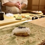 鮨 華 - 握り スミイカ