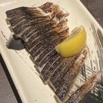 鐵の家 - 