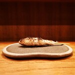 鶏一途 - 焼鳥_つくね