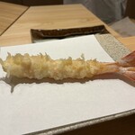 天ぷら北川 - クルマエビ