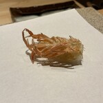 天ぷら北川 - クルマエビ