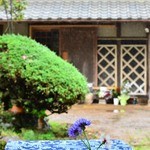 フォルノ ア レーニャ パネッツァ - 