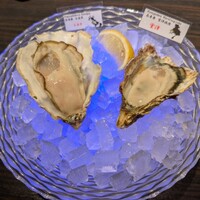 MAIMON GINZA - 