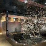 包廂餐廳 Umeko之屋 大宮東口站前店 - 