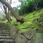 休耕庵 竹の庭の茶席 - 