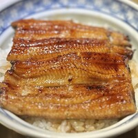 うなぎ 目白ぞろ芽 - 