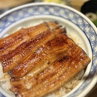 うなぎ 目白ぞろ芽 - 